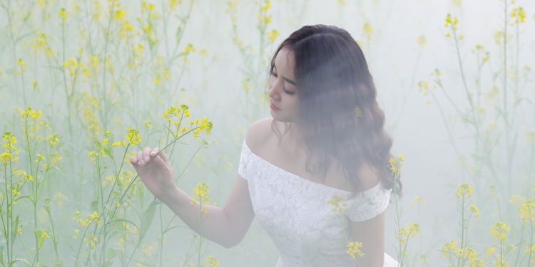 Bioidentični progesteron - Uravnava hormone na 100% naraven način 1 foto pixabay.com