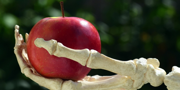 Osteoporoza - zakaj pravzaprav nastane? 1 foto pixabay.com