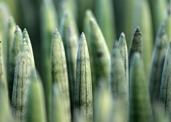 foto pixabay.com, slika je simbolična