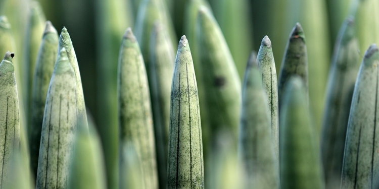 foto pixabay.com, slika je simbolična