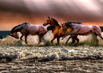 foto pixabay.com