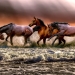 foto pixabay.com