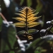 foto pixabay.com