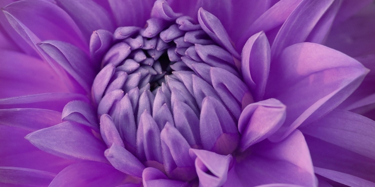 Kako uporabljati afirmacije 1 foto pixabay.com