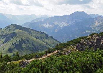 foto pixabay.com. Slika je simbolna