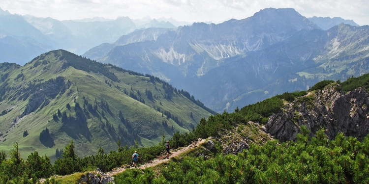 foto pixabay.com. Slika je simbolna