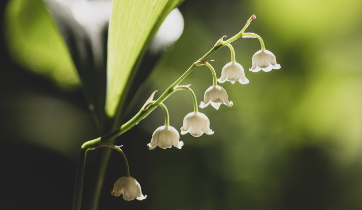 Duhovnost.eu – Ezoterika