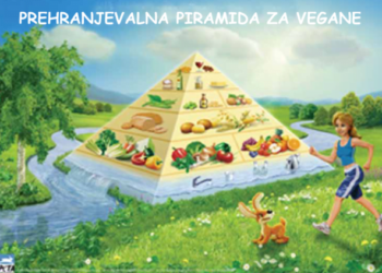 Prehranjevalna piramida za vegane m