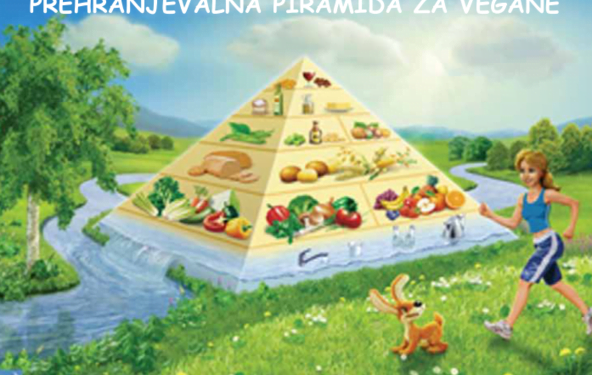Prehranjevalna piramida za vegane m