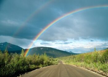 double rainbow reid