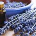 pure organic lavender essential oil m