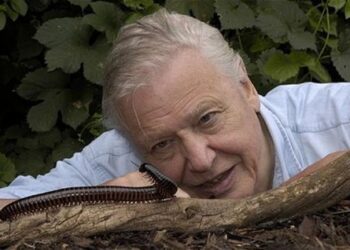 David Attenborough m