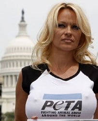 Pamela Anderson PETA m