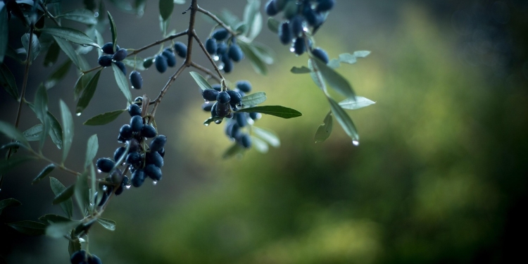 Kaj storiti v vrtincu težkih trenutkov? 1.del 1 foto pixabay.com