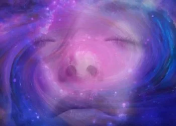 sadhana