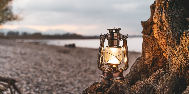 Hočeš pomagati drugim, pa te napadejo 1 foto pixabay.com