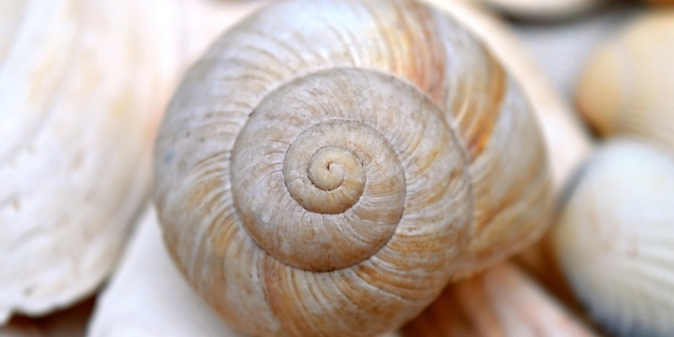 Ljubeče bivanje 1 foto pixabay.com