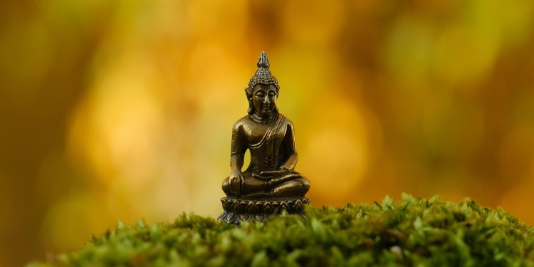 Um, ki je hitro užaljen 1 foto pixabay.com