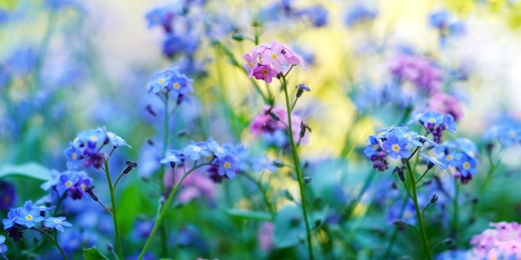 Korak 4: Vztrajnost 1 foto pixabay.com