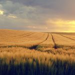 ThetaHealing seminar &ndash; Koplji globlje