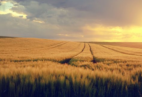 ThetaHealing seminar – Koplji globlje