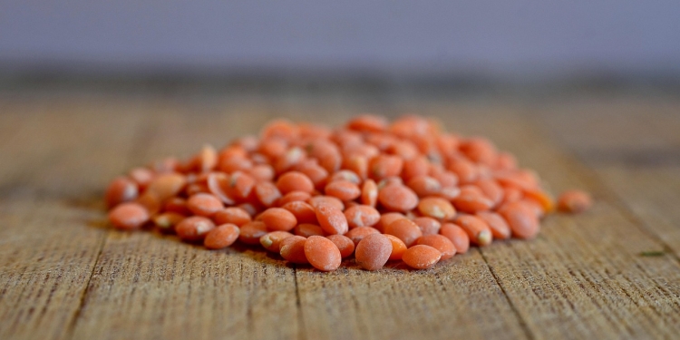 Leča - bogastvo vlaknin 1 foto pixabay.com