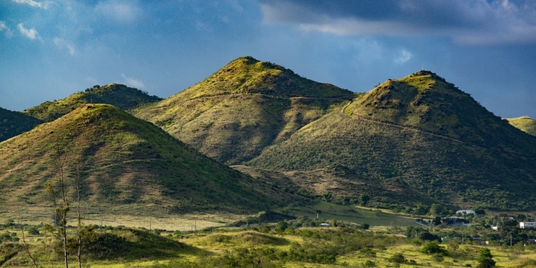 Mooji 1 foto pixabay.com