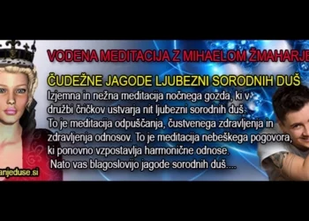 VODENA MEDITACIJA: ČUDEŽNE JAGODE LJUBEZNI SORODNIH DUŠ
