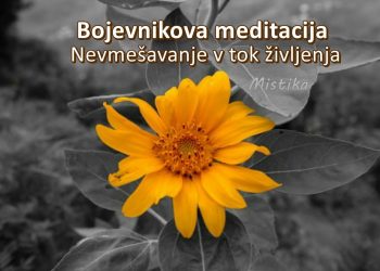 Bojevnikova meditacija