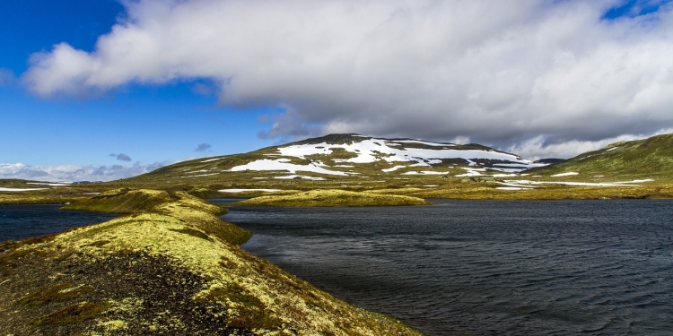 Najbolj IZGUBLJEN pa je tisti ... 1 foto pixabay.com