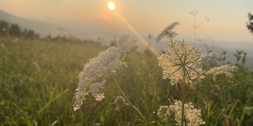 O minljivosti 22 O minljivosti