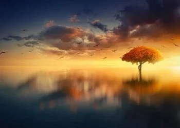 foto pixabay.com