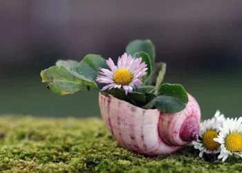 foto pixabay.com