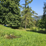 Meditacijski retreat na Pohorju