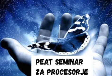 PEAT- seminar za procesorje