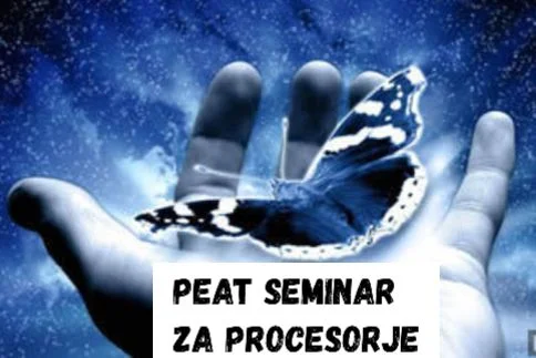PEAT- seminar za procesorje