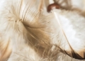 foto unsplash.com