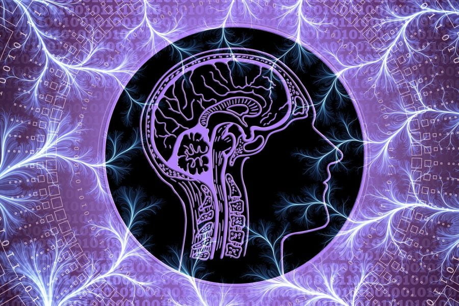 Nevroznanost - Zakaj so simulacije in petje naša rešitev in naša prihodnost 5