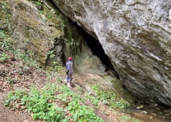 Mi smo živali, torej imamo nagon za preživetje, kaj pa potem…? 10