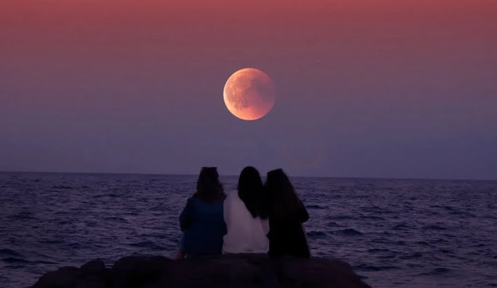 Polna luna v tehtnici – Zadnja pred sezono mrkov 5