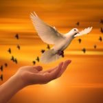 Poglabljanje v »skrivnost duše« in njeno vlogo v našem življenju 573