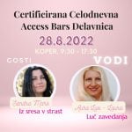 Access Bars certificirana delavnica 302