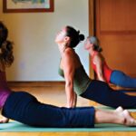 Začetni tečaj ajurvedske joge 202