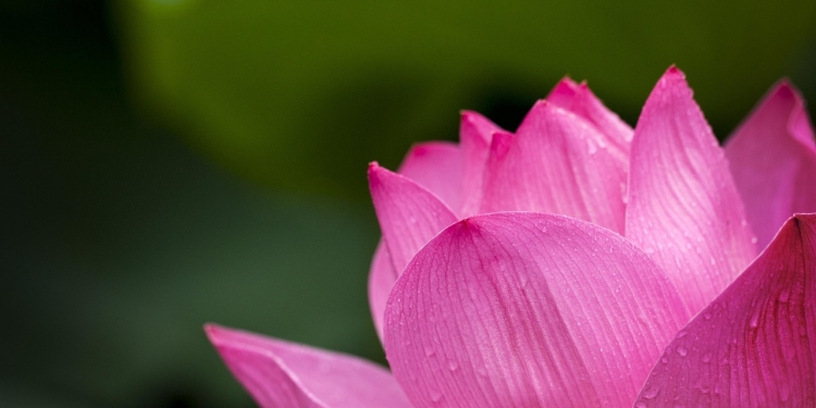 Evropski puščavniki – možje s tihim oznanilom 1 navdih