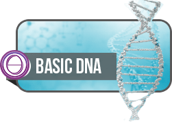 ThetaHealing® tečaj – osnovni DNK1 7