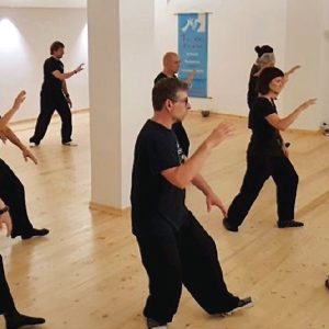 Qigong-Tai Chi začetni tečaj ONLINE 5