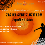 Delavnica Joge plesa- Shakti dance® v Kranju 201