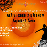 Delavnica Joge plesa- Shakti dance® v Ljubljani 209