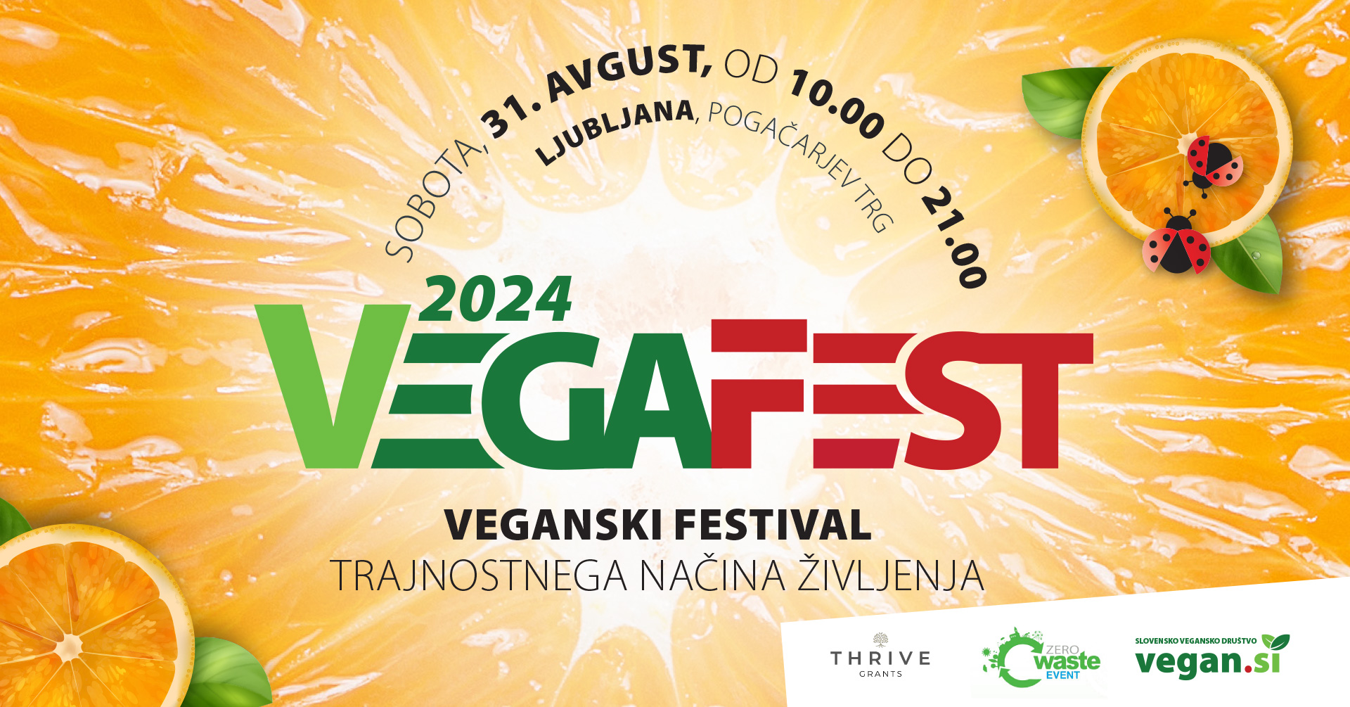 Vegafest 2024 7