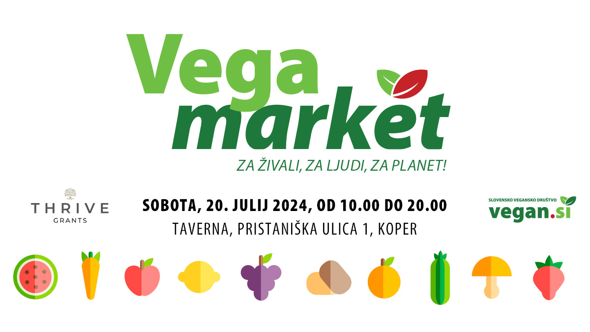 VegaMarket v Kopru 7